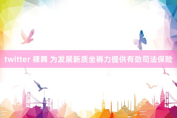 twitter 裸舞 为发展新质坐褥力提供有劲司法保险