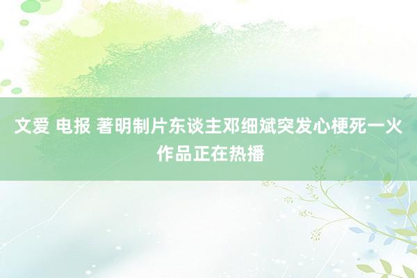 文爱 电报 著明制片东谈主邓细斌突发心梗死一火 作品正在热播