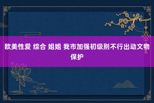 欧美性爱 综合 姐姐 我市加强初级别不行出动文物保护