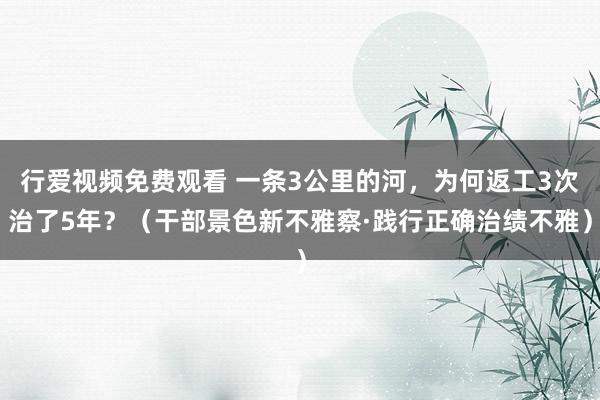 行爱视频免费观看 一条3公里的河，为何返工3次治了5年？（干部景色新不雅察·践行正确治绩不雅）