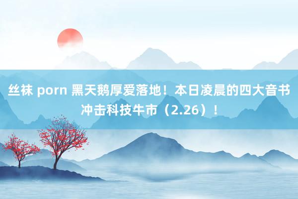 丝袜 porn 黑天鹅厚爱落地！本日凌晨的四大音书冲击科技牛市（2.26）！