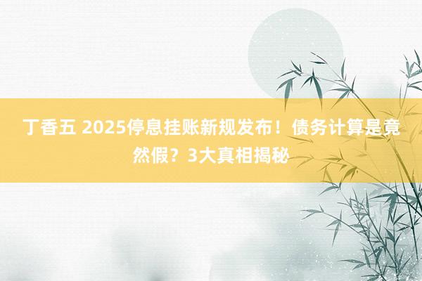 丁香五 2025停息挂账新规发布！债务计算是竟然假？3大真相揭秘