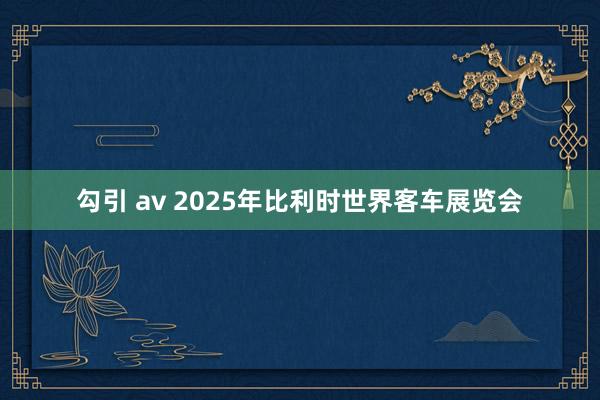 勾引 av 2025年比利时世界客车展览会