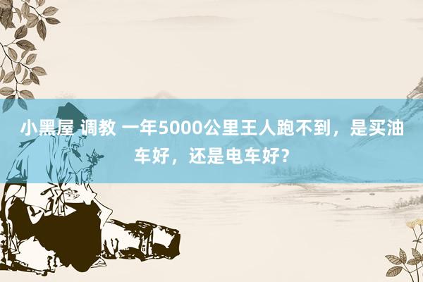 小黑屋 调教 一年5000公里王人跑不到，是买油车好，还是电车好？