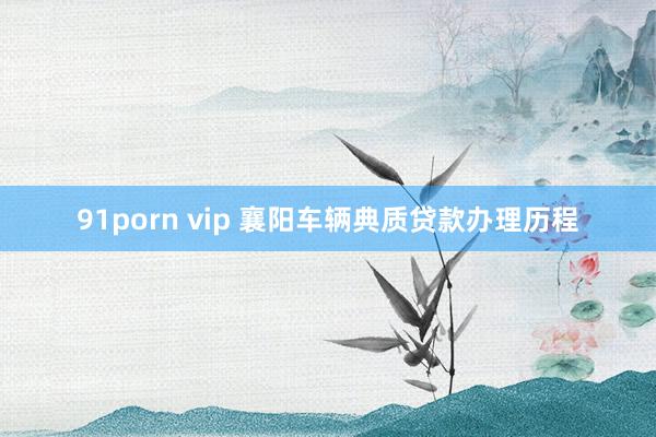 91porn vip 襄阳车辆典质贷款办理历程