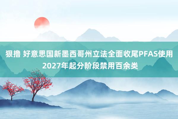 狠撸 好意思国新墨西哥州立法全面收尾PFAS使用 2027年起分阶段禁用百余类