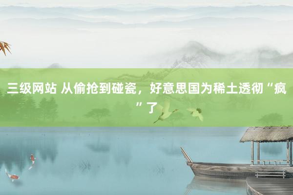 三级网站 从偷抢到碰瓷，好意思国为稀土透彻“疯”了