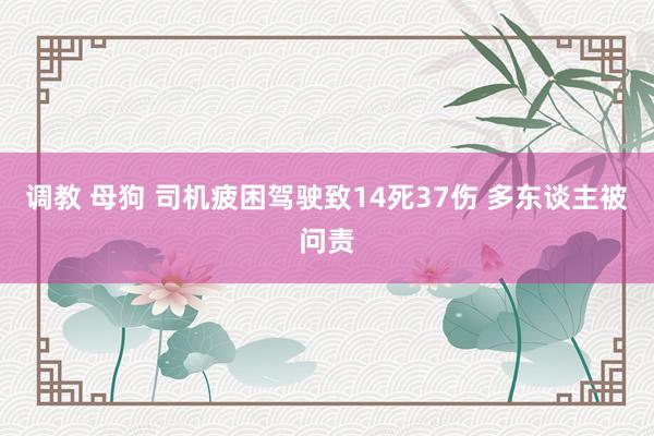 调教 母狗 司机疲困驾驶致14死37伤 多东谈主被问责