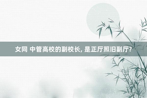 女同 中管高校的副校长, 是正厅照旧副厅?