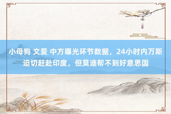 小母狗 文爱 中方曝光环节数据，24小时内万斯迫切赶赴印度，但莫迪帮不到好意思国