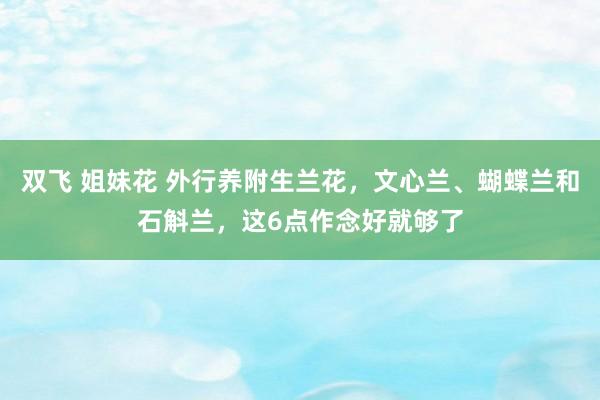 双飞 姐妹花 外行养附生兰花，文心兰、蝴蝶兰和石斛兰，这6点作念好就够了