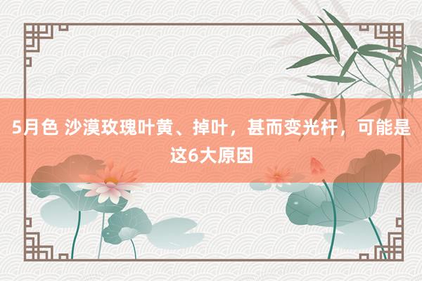 5月色 沙漠玫瑰叶黄、掉叶，甚而变光杆，可能是这6大原因
