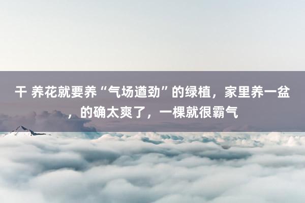 干 养花就要养“气场遒劲”的绿植，家里养一盆，的确太爽了，一棵就很霸气