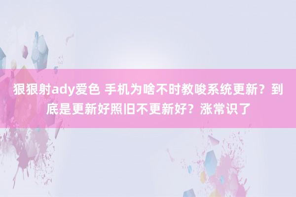 狠狠射ady爱色 手机为啥不时教唆系统更新？到底是更新好照旧不更新好？涨常识了