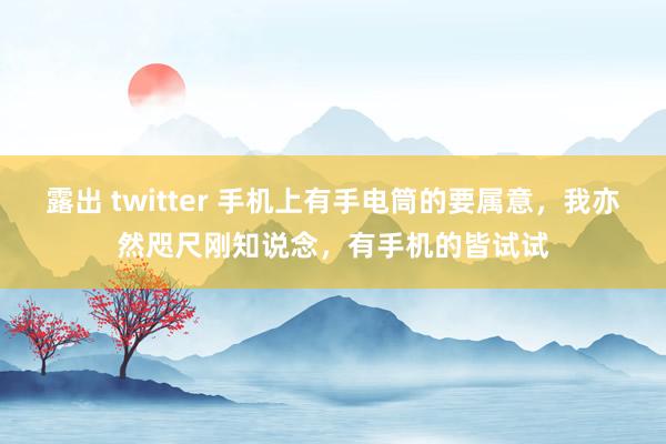 露出 twitter 手机上有手电筒的要属意，我亦然咫尺刚知说念，有手机的皆试试