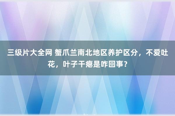 三级片大全网 蟹爪兰南北地区养护区分，不爱吐花，叶子干瘪是咋回事？