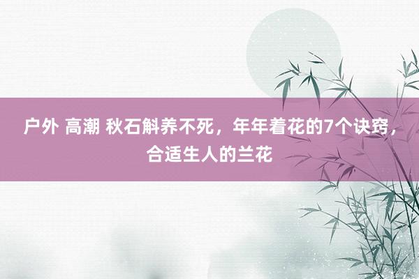 户外 高潮 秋石斛养不死，年年着花的7个诀窍，合适生人的兰花