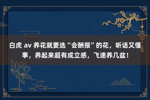 白虎 av 养花就要选“会酬报”的花，听话又懂事，养起来超有成立感，飞速养几盆！