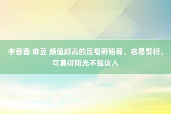 李蓉蓉 麻豆 颜值颇高的足褶野路菊，容易繁衍，可莫得阳光不提议入