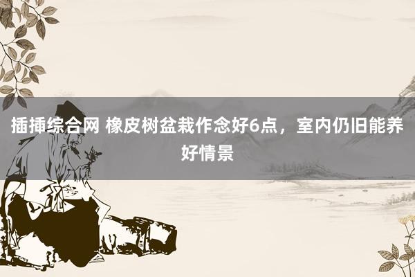 插揷综合网 橡皮树盆栽作念好6点，室内仍旧能养好情景