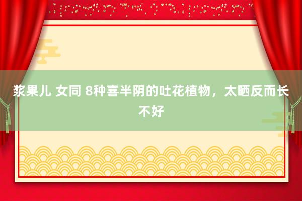 浆果儿 女同 8种喜半阴的吐花植物，太晒反而长不好