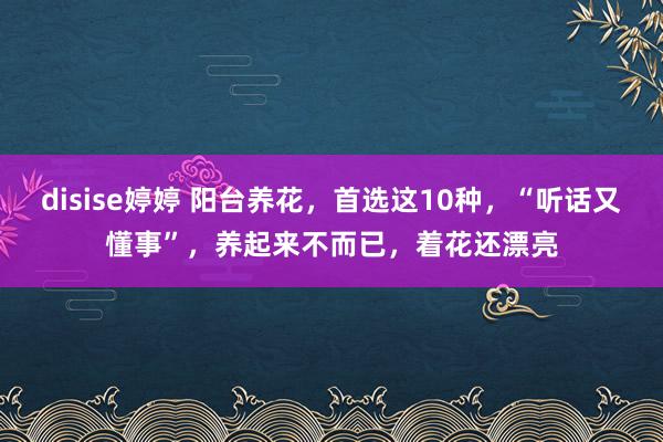 disise婷婷 阳台养花，首选这10种，“听话又懂事”，养起来不而已，着花还漂亮