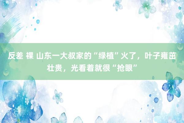 反差 裸 山东一大叔家的“绿植”火了，叶子雍茁壮贵，光看着就很“抢眼”