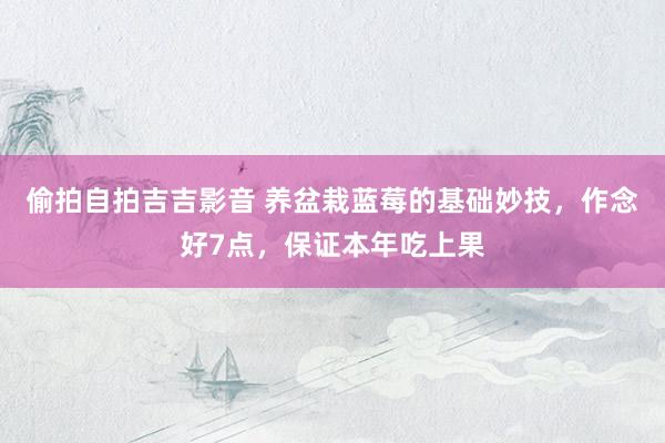 偷拍自拍吉吉影音 养盆栽蓝莓的基础妙技，作念好7点，保证本年吃上果