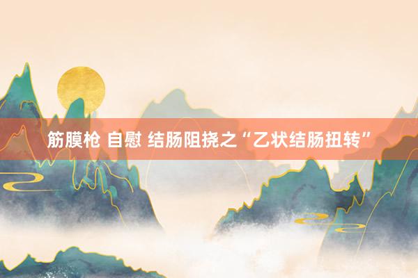 筋膜枪 自慰 结肠阻挠之“乙状结肠扭转”