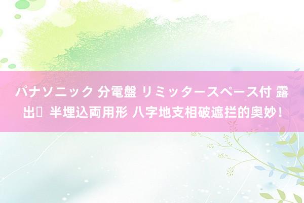 パナソニック 分電盤 リミッタースペース付 露出・半埋込両用形 八字地支相破遮拦的奥妙！