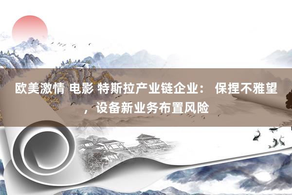 欧美激情 电影 特斯拉产业链企业： 保捏不雅望，设备新业务布置风险